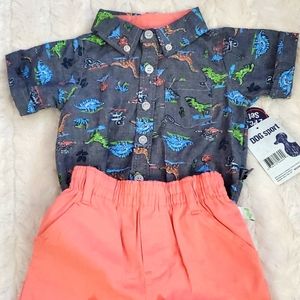 NWT 6-9M Boys Dinosaur Short Set
